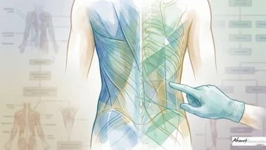 İnce Bel İçin "Kaburga Aldırma" Devri Bitiyor