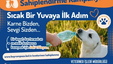 Bayrampaşa’da ‘can dostlar’ yuvalarını bekliyor