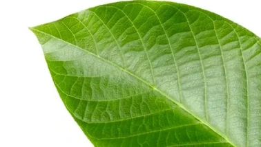 “Vizyon 2026” Toplantısı Gerçekleşti!