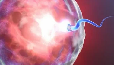 Annelik hayalini erteleyenler yaygınlaşıyor!