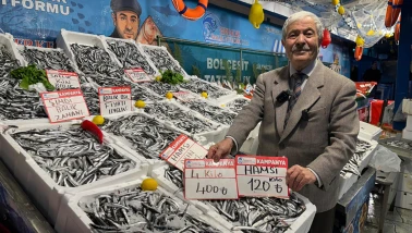 DENİZ BEREKETİ TEZGAHLARA YANSIDI: HAMSİ FİYATLARI DİBE İNDİ