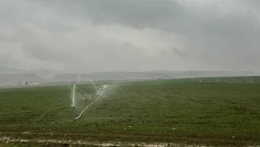 Karla Kaplı Arazide Kaçak Elektrikle Sulama Yapıldı