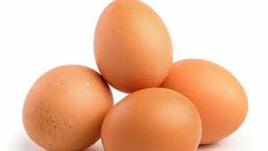 Yumurta üretiminde son 3 yılın rekoru!