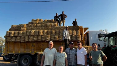 Silivri Belediyesi’nden Üreticilere Saman Balyası Desteği