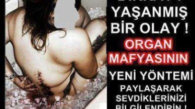 BÖBREK MAFYASI İŞ BAŞINDA