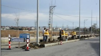 Büyükçekmece de ağaç dikimi devam ediyor…