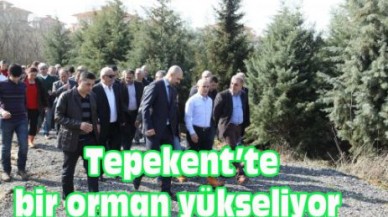 Tepekent’te bir orman yükseliyor
