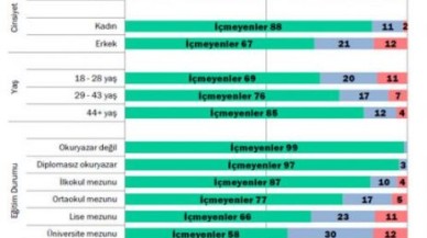 Başbakan'ı Üzecek Anket!