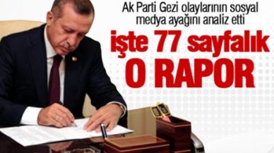 'Gezi Parkı sosyal medya raporu'