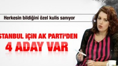 'AK Parti'de İstanbul için 4 aday var'