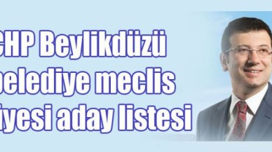 CHP Beylikdüzü meclis üyesi listesi