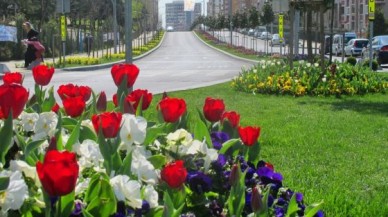 Başakşehir çiçek açtı