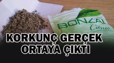 Kalp krizinin nedeni “Bonzai” çıktı