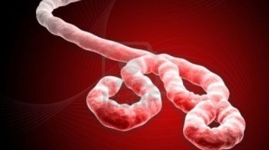 Ebola'dan Ölenlerin Sayısı Bini Aştı