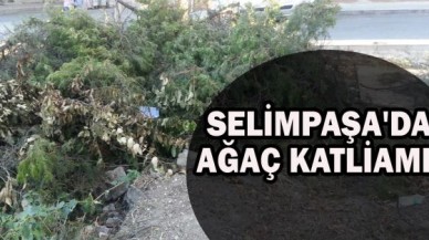 NERDESİNİZ GEZİ ZEKÂLILAR?