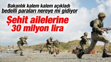 Bedelliden şehit ailelerine 30 milyon TL