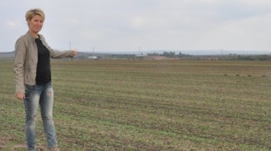 Köy malıyla hovardalık!