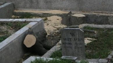 Esenyurt'ta ağaçları katlettiler