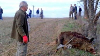 Bakanlıktan 'vur' emri verildi