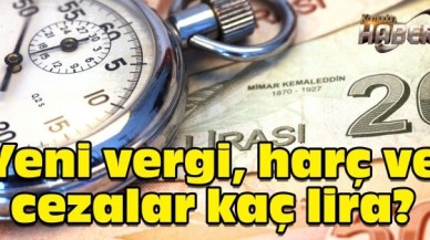 Yeni vergi, harç ve cezalar kaç lira?