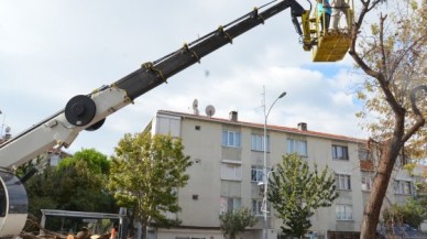 Yeşile bakım zamanı