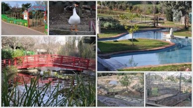 İstanbul’un Göbeğinde Bir Cennet
