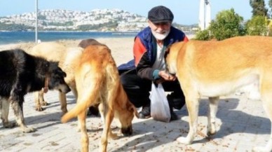 Tatil için geldi, sokak hayvanları için bir daha dönmedi