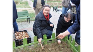 İBB SİLİVRİ’YE LALE DİKTİ!