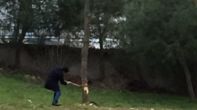 AĞAÇ KESEN ADAM HAYRETE DÜŞÜRDÜ!