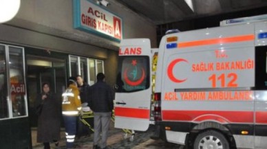 Bir domuz gribi vakası daha