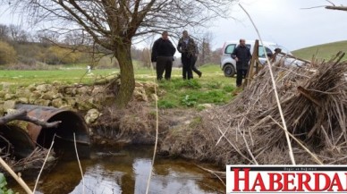 Bu ne perhiz bu ne lahana turşusu