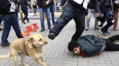 Yere Yatırılan Göstericiye Şefkat Gösteren Köpeğe Polisten Tekme