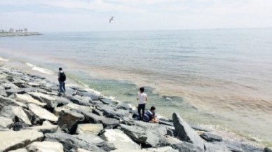 Avcılar sahilinde neler oluyor?