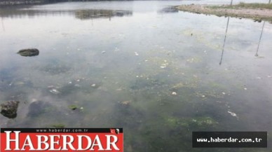 Marmara Denizi’nde alarm