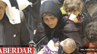 AFAD açıkladı! İşte Türkiyedeki Suriyeli sayısı