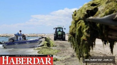 İşte İstanbulda denize girilebilecek yerler