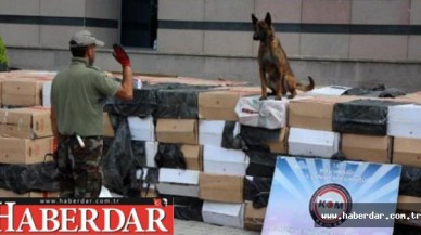 Gümrükte Bonzai Operasyonu