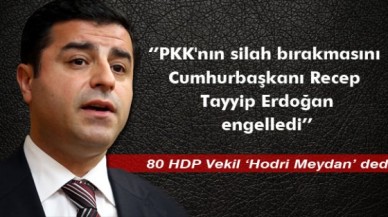 Demirtaş: Kaldırılması İçin Başvuracağız