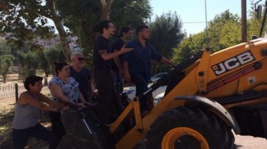 Büyükçekmece halkı ağaç katliamına direniyor!