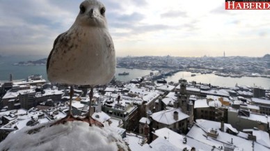 Bu yıl kış nasıl geçecek!İşte cevabı