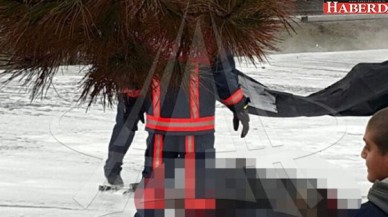 Büyükçekmece Belediye Başkanı: 5 Yanmış Ceset Var