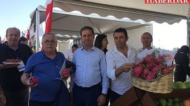 Adanada hayat başka güzel