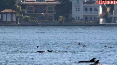 İstanbul Boğazı’nda şoke eden görüntü!