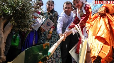 Ekrem İmamoğlu zeytin ağacı dikti