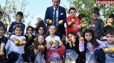 MİNİKLER MEYVE HASADINI BAŞKAN ÇALIK İLE YAPTI