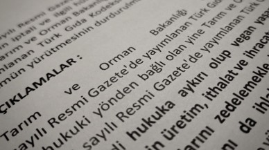 Vegan Derneği Türkiye vegan peynir yasaklarına karşı Tarım ve Orman Bakanlığı’na dava açtı