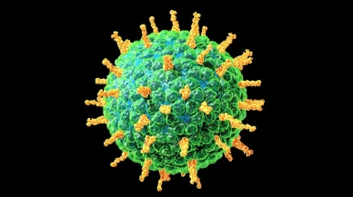 Her yıl 25 milyon çocuğu etkiliyor!