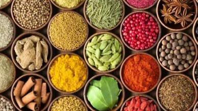 Hangi baharat neye iyi geliyor?