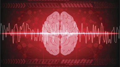 Ölüm anında beyin aktivitesi ilk kez görüntülendi...