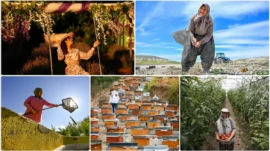 Alanlarında dönüşüm yaratan kadınlar